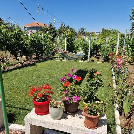 فندق Casa Simona دووا مايْ المظهر الخارجي الصورة