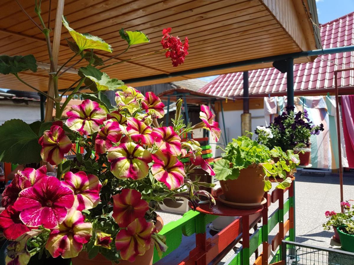 فندق Casa Simona دووا مايْ المظهر الخارجي الصورة