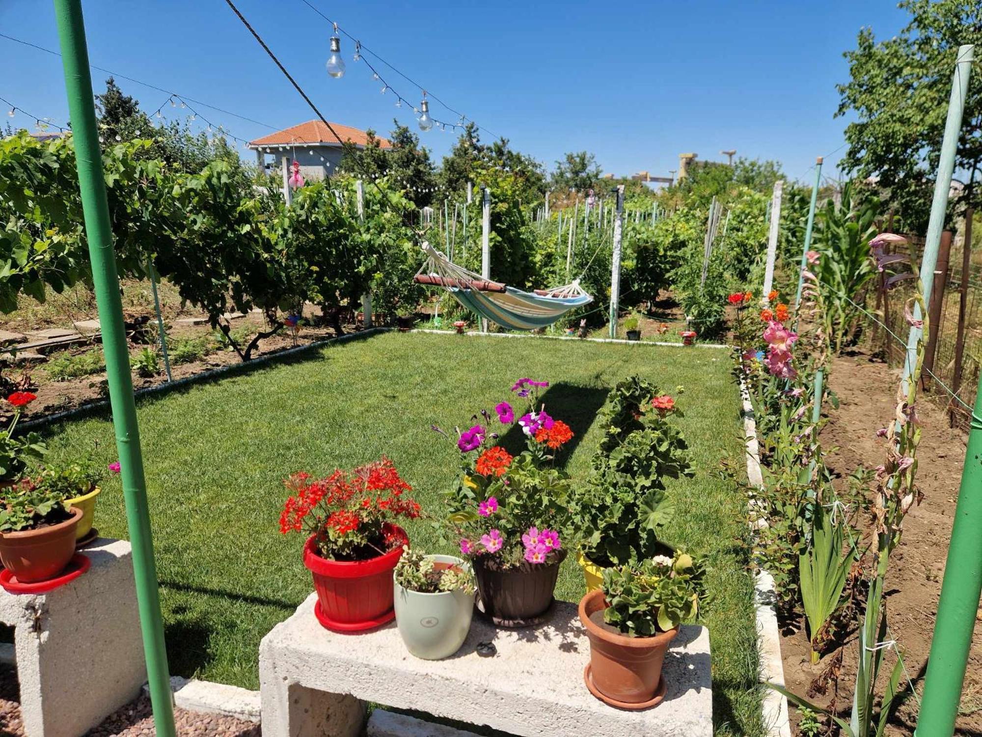 فندق Casa Simona دووا مايْ المظهر الخارجي الصورة